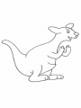 kangaroo2.jpg