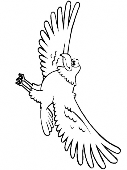 eagles football logo coloring pages - photo #37