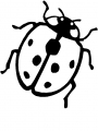 ladybugs01.jpg